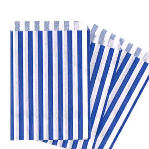 Blue-Stripe-Bags